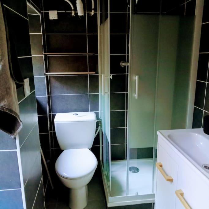 Le Cosy Chaleureux Appartement Saint-Etienne  Exterior foto